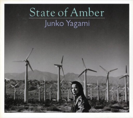 1991 State of Amber